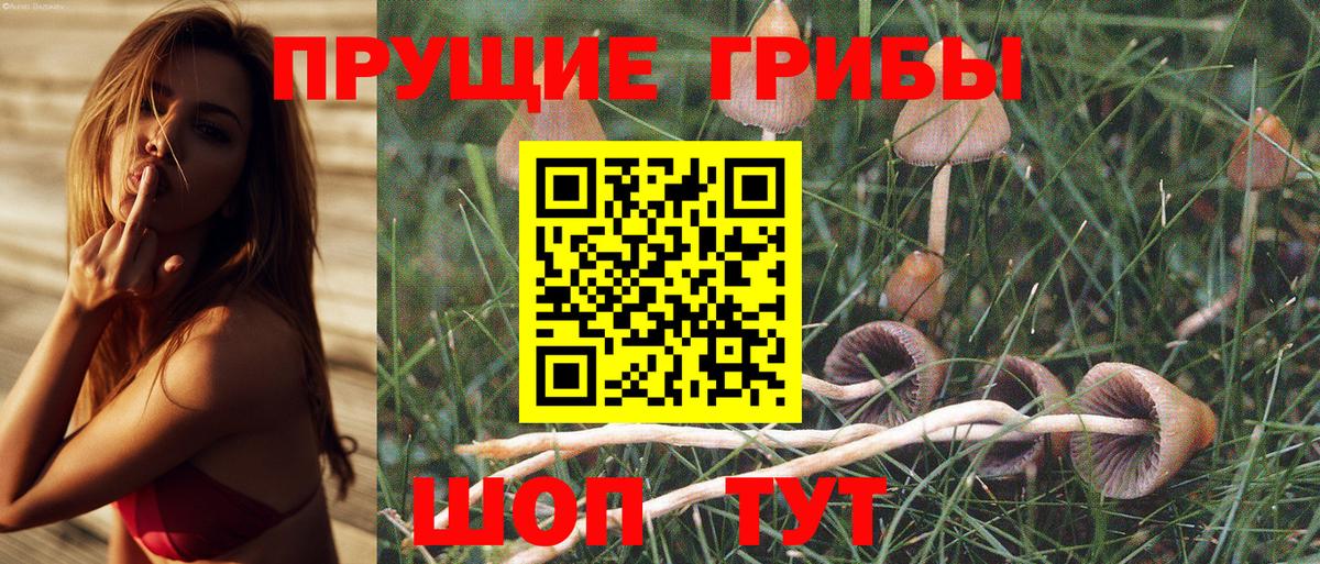 Конаково  Псилоцибиновые грибы Psilocybine cubensis  Галлюциногенные грибы Magic Shrooms  Вход с VPN 